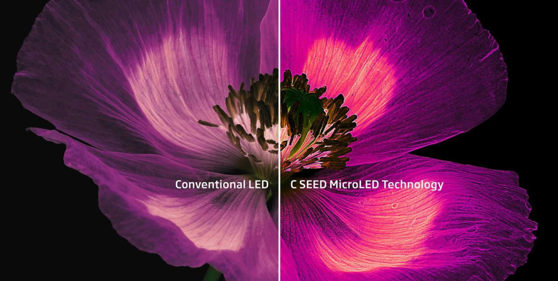C SEED MICRO LED 與一般LED比較圖