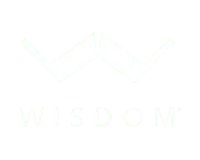 Wisdom Audio 36 聲道音響系統