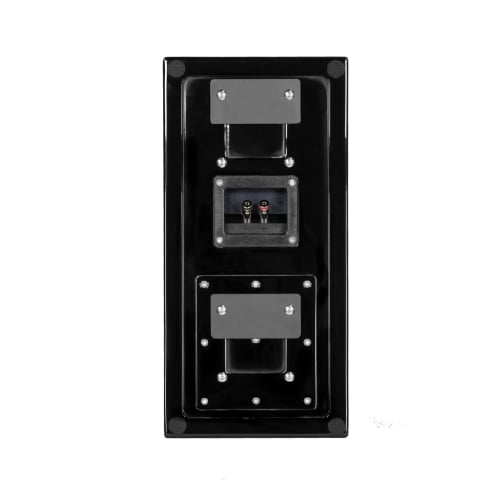 P2m-Black-back