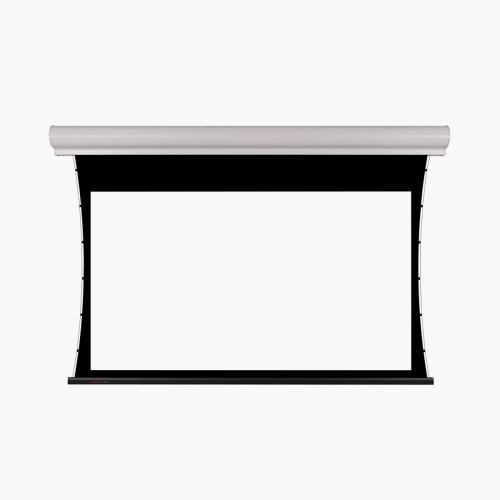 ms2_1